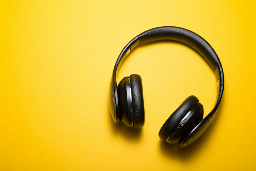 Casque Bass Pro, réduction de bruit